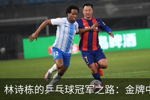 林诗栋的乒乓球冠军之路：金牌中的青春与汗水